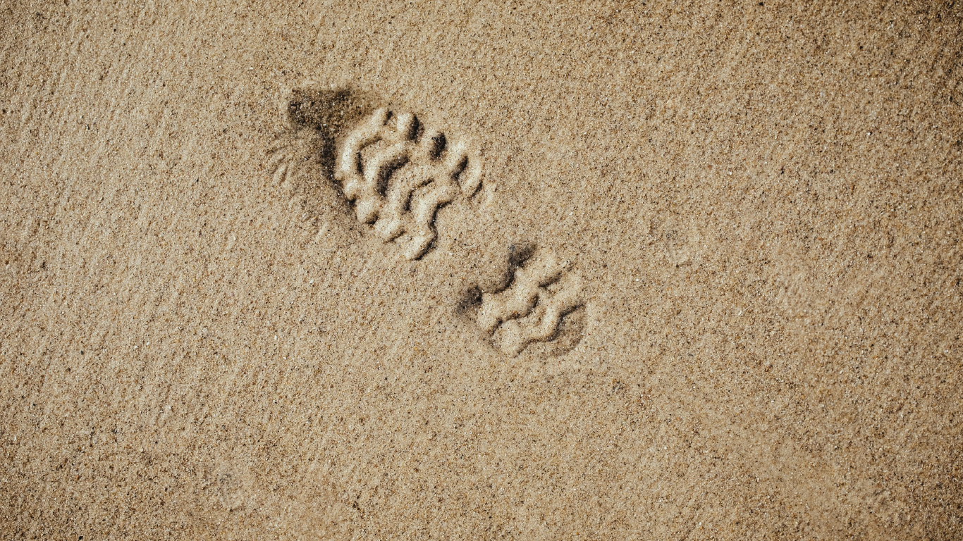 Misión de Los Espejos: turismo receptivo y emisivo con enfoque inclusivo